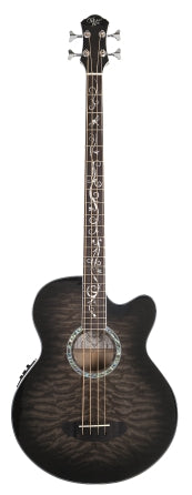 Dragonfly 4 Acoustic Bass