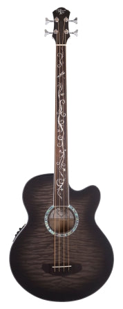 Dragonfly 4 Fretless Bass
