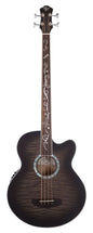 Dragonfly 4 Fretless Bass